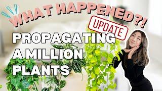 What Happened When I Propagated a Million Plants?! | Plant Chores | Houseplant Care Routine Tips