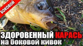 Крупный Карась на Боковой Кивок и Безмотылку. Летняя Мормышка