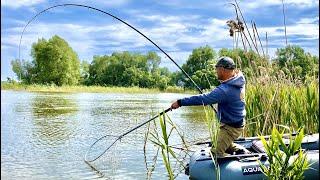 Рижі САЗАНИ зайшли в ОЧЕРЕТ МАССОВО!!!