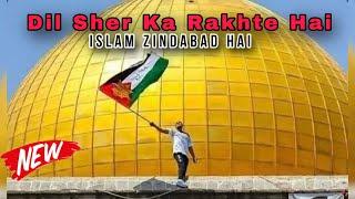 New Naat 2024 Palestine || Islam Zindabad || Dil Sher Ka Rakhte Hai (Prod.By DJ Hashim Official)