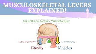 Musculoskeletal Levers Animation | 3 Types of Lever Systems