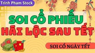 SOI CỔ PHIẾU | HÁI LỘC SAU TẾT | SERIES SOI CỔ NGÀY TẾT