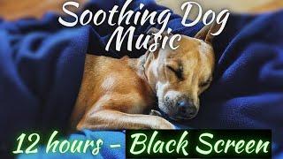 DOG MUSIC: Help Your Dog Sleep (Black Screen) 12 Hours of Soothing Calming Dog Music