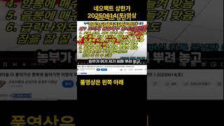 어쩌다보니 상한가ㅣ네오팩트  ㅣ지능형로봇 원격진료 의료기기