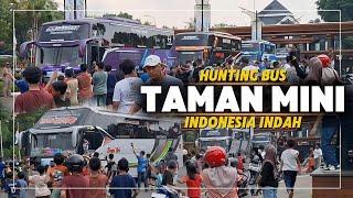 KESERUAN HUNTING BUS TAMAN MINI INDONESIA INDAH‼️