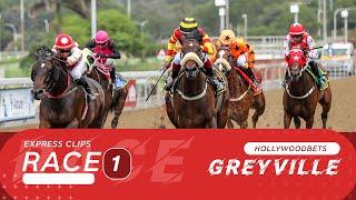 20250307 Hollywoodbets Greyville Race 1 won by SERPENTINE FIRE