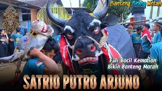 Banteng Ngamuk Brutal || SATRIO PUTRO ARJUNO Live Ploso Kerep - Singosari