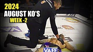 MMA & Boxing Knockouts I August 2024 Week 2