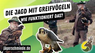 Die Falknerei und Beizjagd - Mach dich fit für die Jagdprüfung!  *Praktischer Jagdbetrieb*