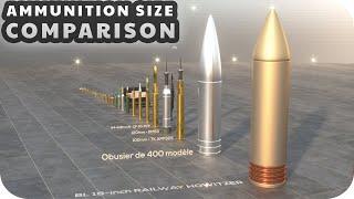 Ammunition Size Comparison (3D)