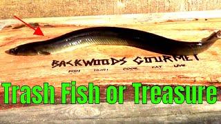 TRASH FISH OR TREASURE EEL | CATCH CLEAN AND COOK