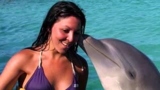 Swim with dolphins in Punta Cana