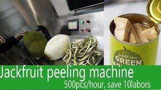 Automatical Jackfruit peeling machine Commerial jackfruit cutting machine