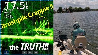 BRUSHPILE CRAPPIE FISHING LIVESCOPE!!