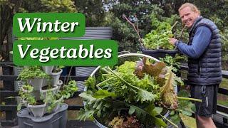 10 Winter Vegetables to Grow in Your Garden