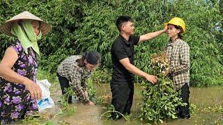 Harvesting flooded peanuts: Surprised by Ban's concern, how will Duyen react? Ly Thi Duyen