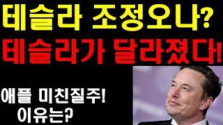 테슬라 조정오나? 테슬라가 달라졌다! 애플 미친질주 이유! 4조달러 임박! 눈속에서도 달리는 자율주행! 사람보다 났다! 매가팩 아시아 시장 확장! 테슬라 4분기 보다 이것에 더기대