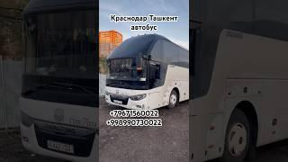 Краснодар Ташкент автобус, Ростов Ташкент автобус #Краснодар #Ташкент #автобус #Ростов #Ташкент 2024