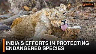 India's Efforts in Protecting Endangered Species | DD India