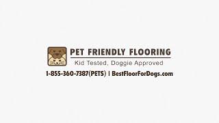 Best Flooring For Dogs - Pet Friendly Flooring - Best Flooring For Dogs