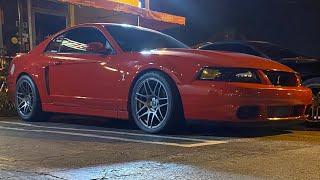 My 2003 SVT Cobra  Terminator is getting RESTORED! Phase 1?! Future plans