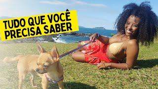 Morar em Florianópolis vale a pena ?