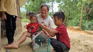 Lam Lu picks a bunch of cassava to feed the fish COOK the duck and eat deliciously HPS mouth