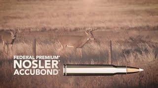 Federal Premium Nosler AccuBond