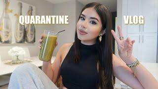 A Day in My Life in Quarantine  Vlog #2 | Amanda Diaz