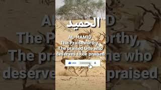 Al Hamid The Praiseworthy, Name Of Allah #shortsfeed #shortsfeed #shortvideo