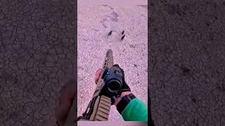 Охота на кабана: точный выстрел в сердце леса #охота #wildpigs