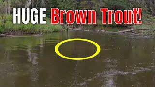 Spring Time Trout Fishing in Michigan (fishing for Trout in the Spring with spinners)