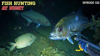 NIGHT SPEARFISHING EPISODE 132 | FISH HUNTING AT NIGHT