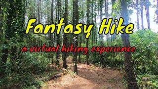 Fantasy Hike/Virtual Hike With Music/HD