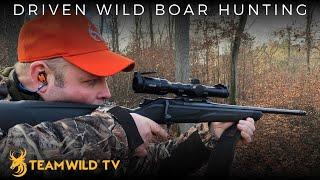 Driven Wild Boar Hunting in Germany