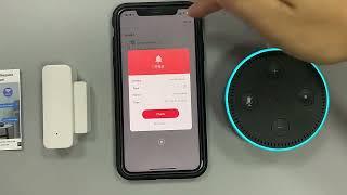 ALOK  智能Wifi 2.4G多功能無線門窗門磁警報器感應器塗鴉Tuya APP手機推送通知