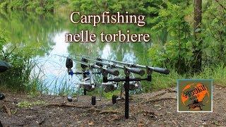 Carpfishing nelle torbiere del lago d'Iseo