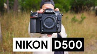 Nikon D500 Gear Review: Fast Autofocus & Pro Performance