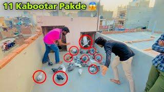 11 Kabootar pakde | 1 हाथ में 11 कबूतर पकड़े  सेहदी के