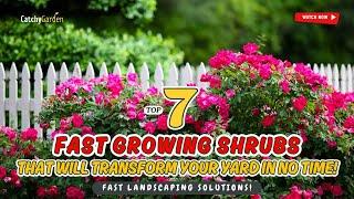  7 FAST GROWING SHRUBS That Will Transform Your Yard IN NO TIME!  // FAST LANDSCAPING SOLUTIONS!