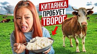 Моя Жена Пробует Творог АВТОДОМ #16