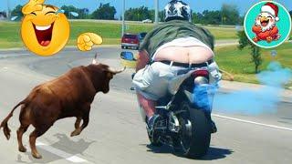 Funny & Hilarious People's Life  #07 | Funny Fails compilation 2025 - Try not to Laugh