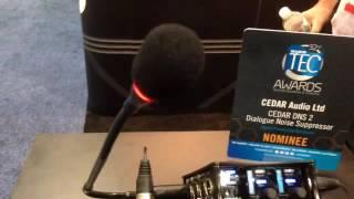 Cedar Noise Reduction Hardware