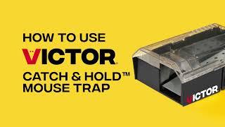 How to Use the Victor Catch & Hold Mouse Trap | M335