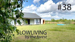 In the heart of Summer | Slowliving by the forest | Russia