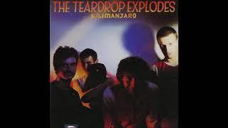 The Teardrop Explodes - Poppies In The Field