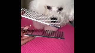 Pet Grooming Row Comb Sparse Double Teeth