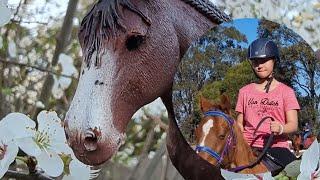 How horse riding training in Australia