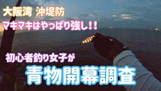 初心者釣りガールが沖堤防でショアジギ青物調査