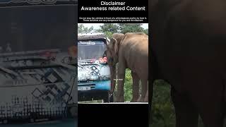 Thrilling journey - A wild elephant stopped the vehicle and asked for food #elephant #elephantchase